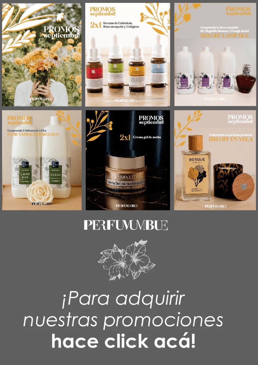 Webinar