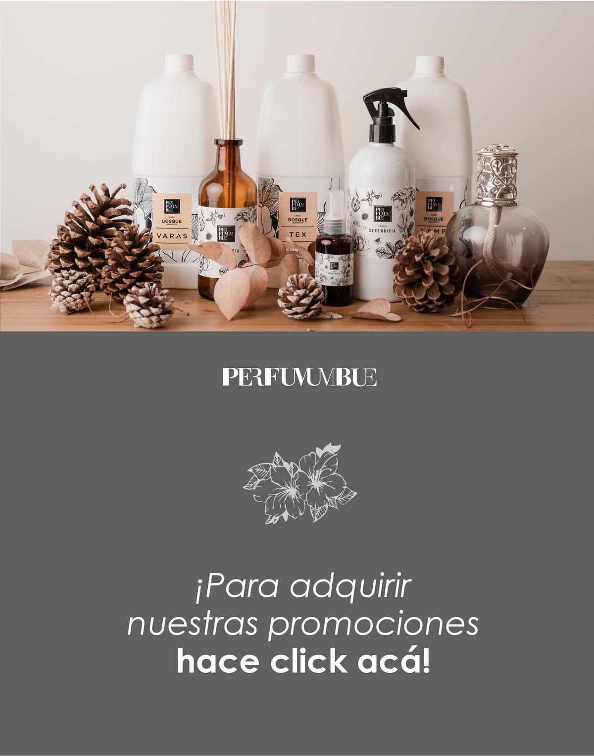 Webinar