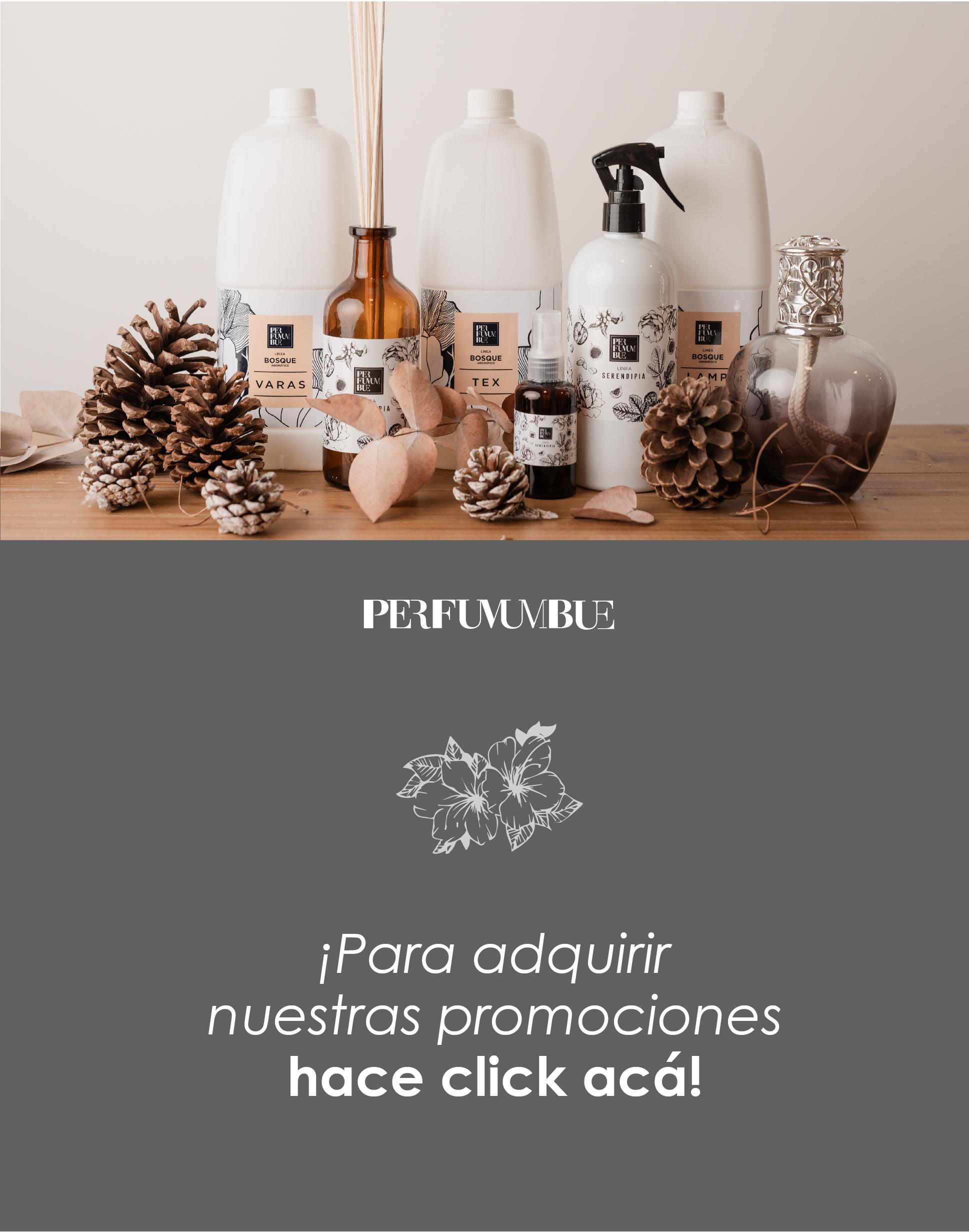 Webinar